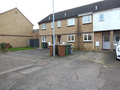 Picture 7